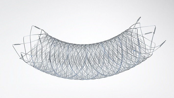 FRED™ (Flow-Redirection Endoluminal Device) | Intermedical