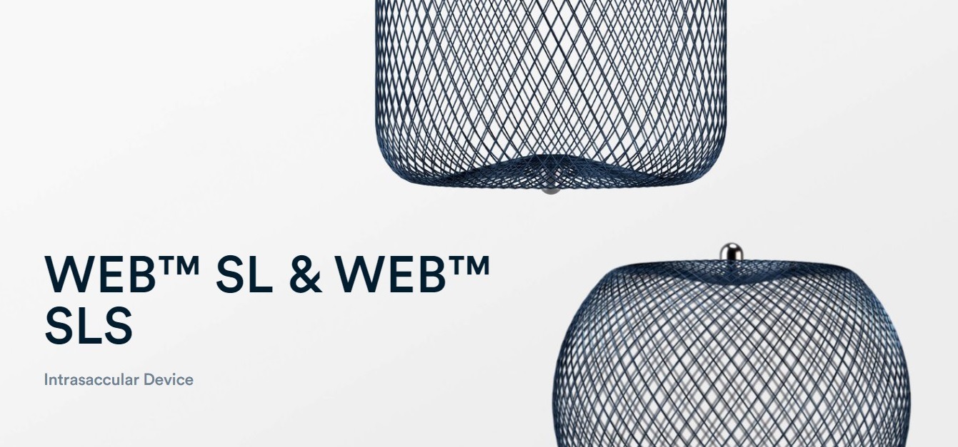 WEB™ (Woven EndoBridge) | Intermedical