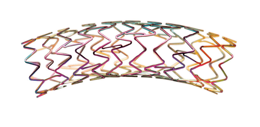 Dynamic Renal – stent renal Biotronik | Intermedical