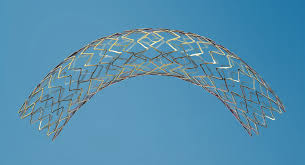 Dynamic – stent superficial femoro-poplíteo Biotronik | Intermedical