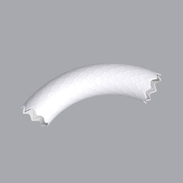 BeGraft Aortic | Intermedical